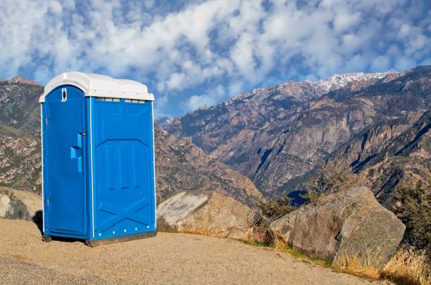 Best Porta potty rental for festivals  in Weyauwega, WI